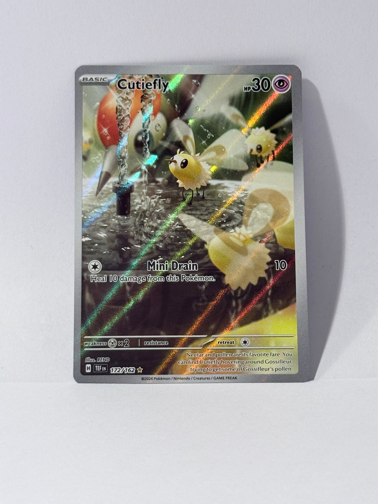 Cutiefly - Temporal Forces - TEF 172