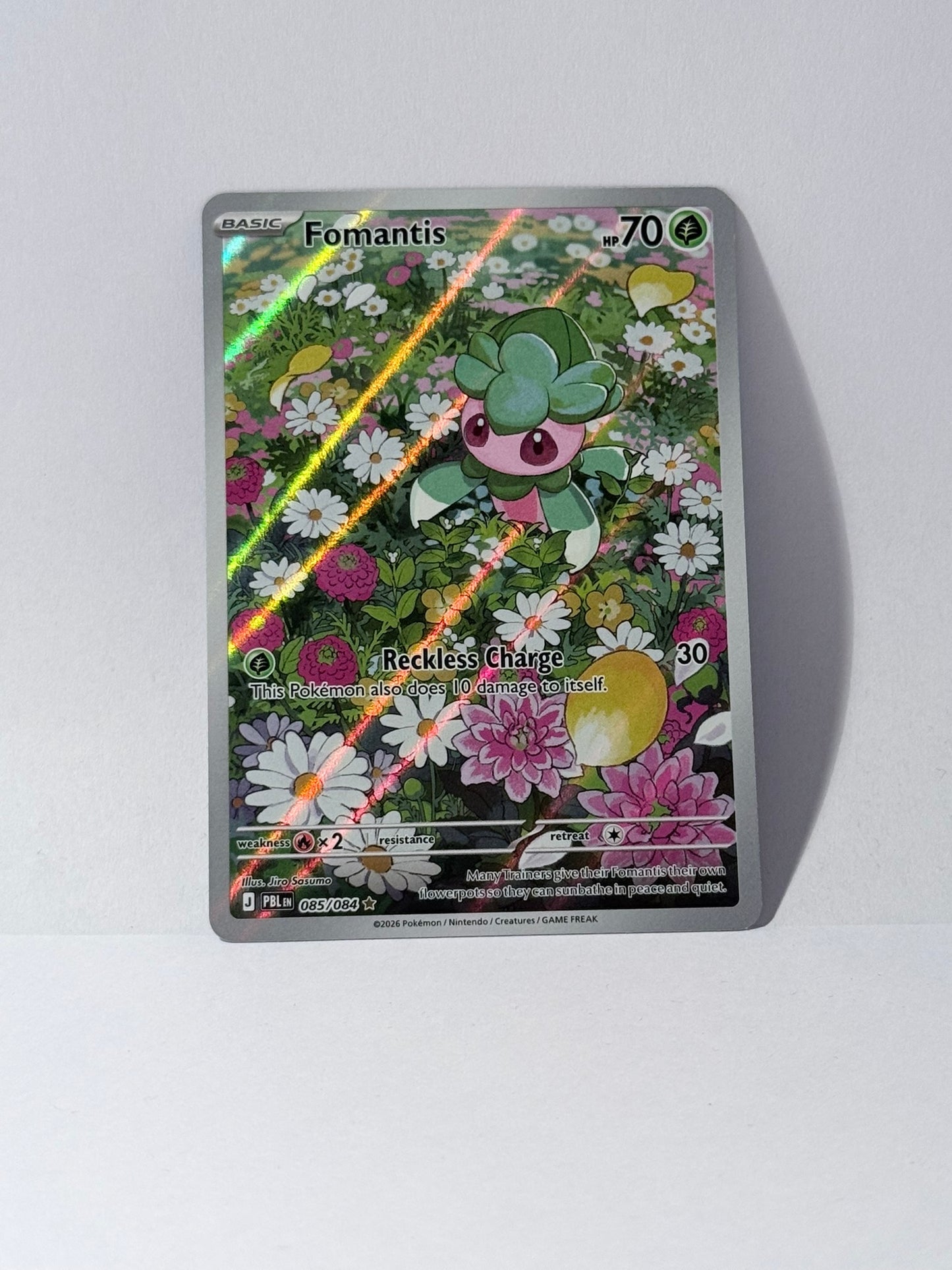 Fomantis - Pitch Black - PBL 085