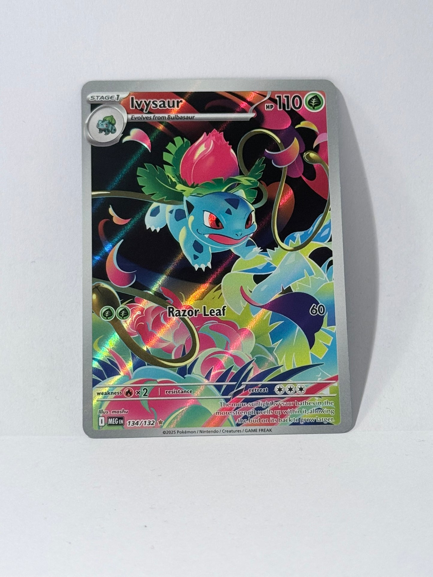 Ivysaur - Mega Evolution - MEG 134
